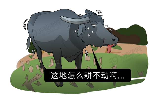 身体发麻怎么办，手脚发麻怎么办（身体的4种“虚”各有什么表现）