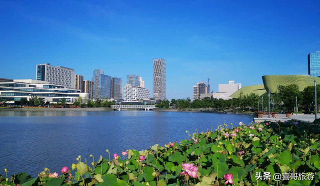 北仑森林植物园，宁波市12月份适合旅游的地方（浙江宁波市北仑区值得游玩的旅游景点有哪些）