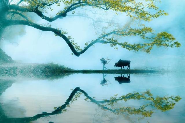 田园生活的唯美句子，赞美向往田园生活唯美句子（10首唯美山水田园诗）