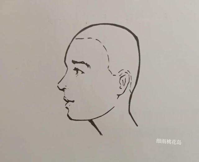 侧脸丑适合什么发型，侧脸不好看适合什么发型（发型与侧面脸形关系）