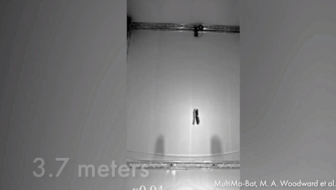 窜天猴原理，什么叫窜天猴（不用点火就能蹦到10层楼）