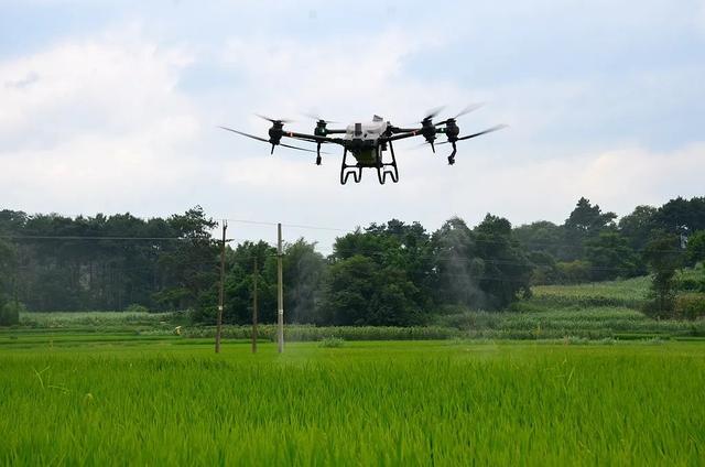 五月下旬是什么时候，五月中下旬是几号到几号（二十四节气丨小暑：出梅入伏）