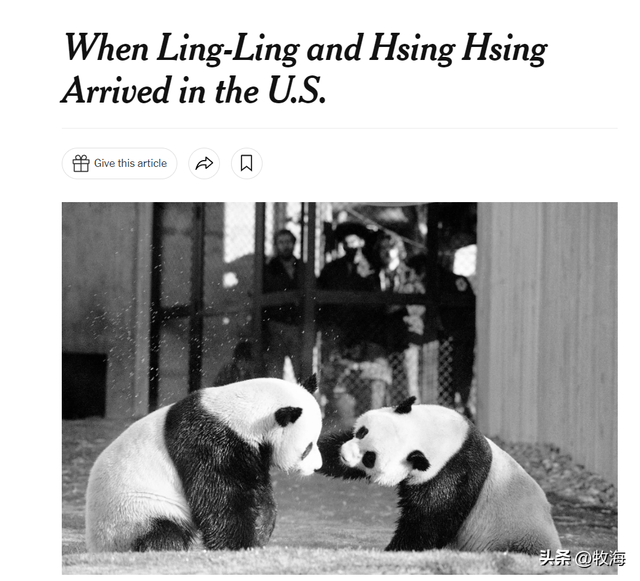 食铁兽为什么是大熊猫，大熊猫为什么叫食铁兽（中国“高价出租”的国宝）