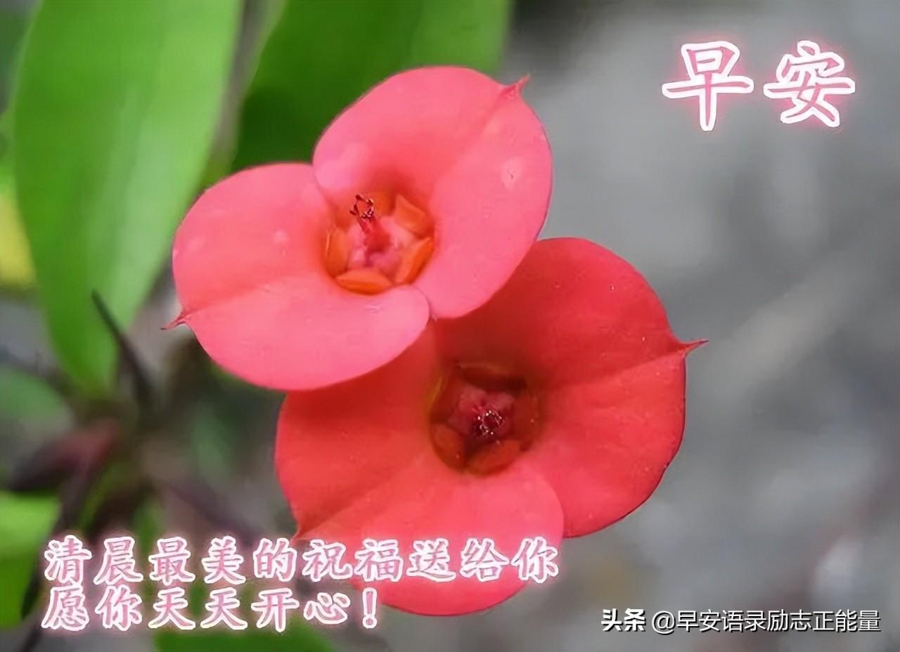 經典句子人生感悟（勵志語錄正能量）