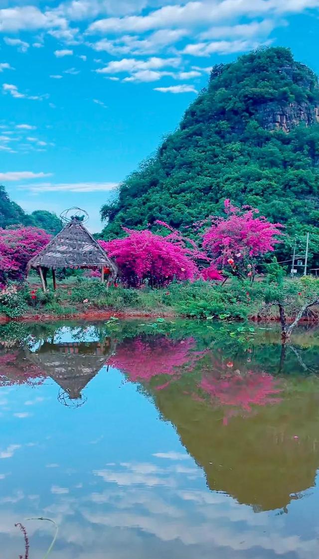 鲜花盛开与心情的美句，形容鲜花带来美好心情的句子（就像你用心雕琢出曼妙字句）