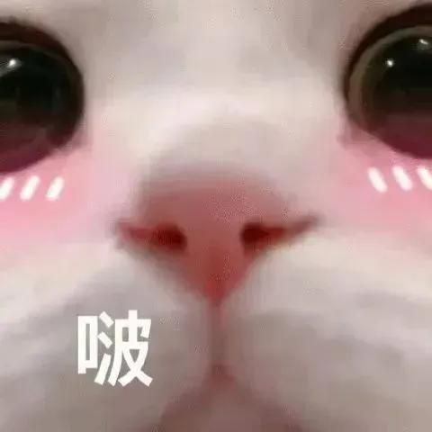 微笑表情包(微笑图片表情包可爱)