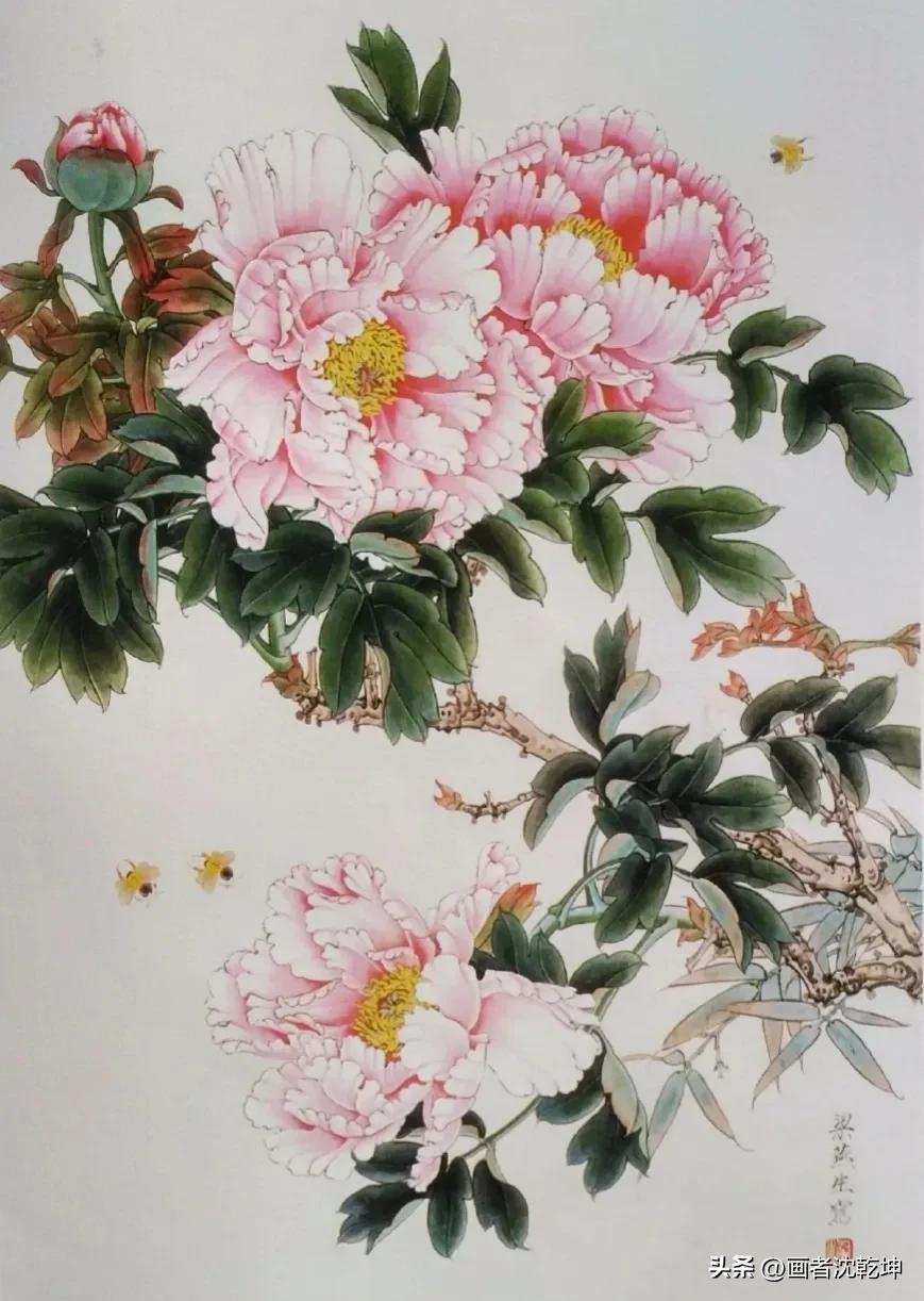 牡丹花工笔画图片(梁燕生工笔牡丹白描底稿6幅) - 赤虎壹号