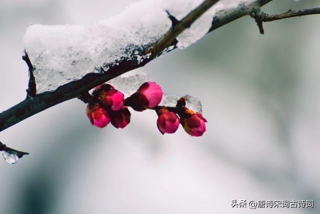 形容雪的词语，形容雷的词语不带雷字（一日风飘雪，翌日雪满道）