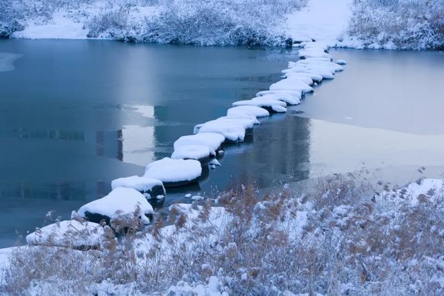 经典花诗歌句子，诗与花唯美句子（10首咏雪诗词）