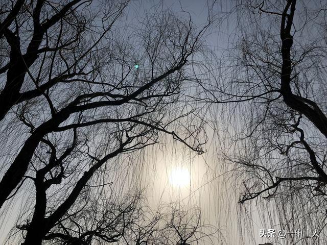 八月十五短信祝福语，八月十五日祝福语（老人说：今年是“晚秋分）