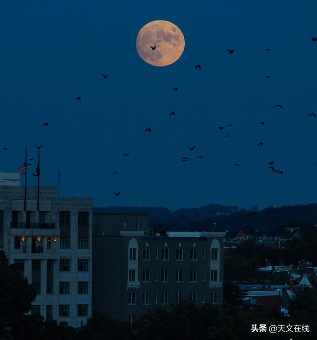 元月是几月，元月是几月是农历吗（请定好闹钟，角宿一伴月来啦）