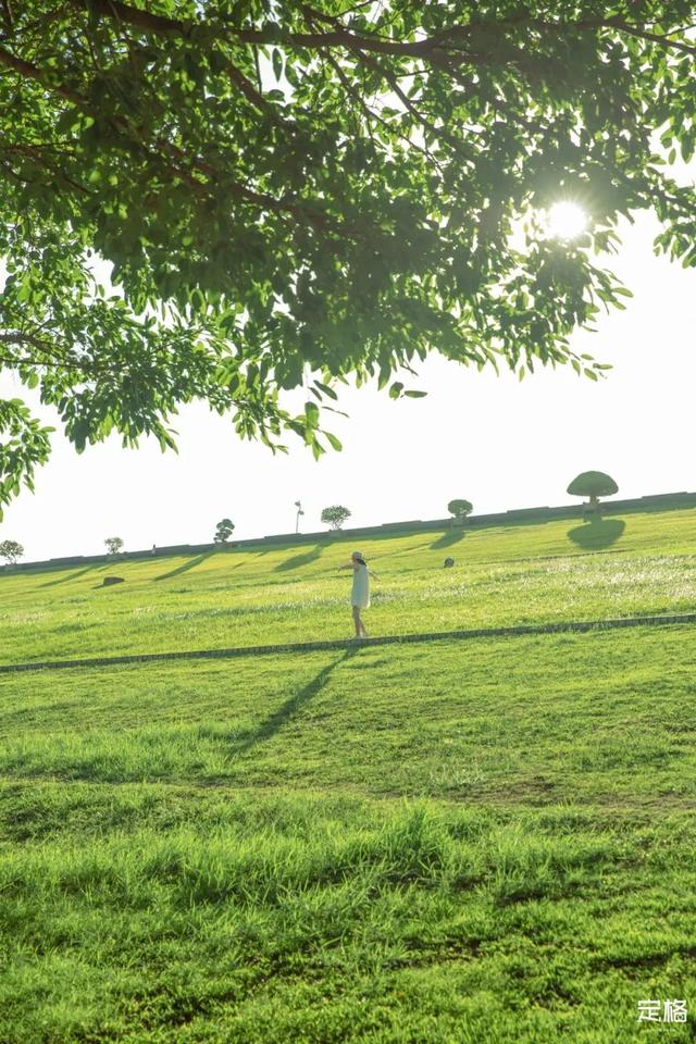 深圳一日游免费必去的地方，深圳最适合一日游的15个免费景点（深圳10个小众打卡地）