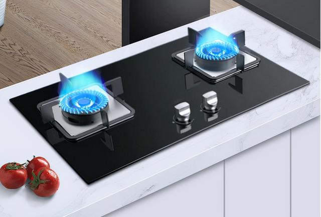 燃气灶十大品牌排行榜，中国十大名牌燃气灶（2022年家用燃气灶怎么选）