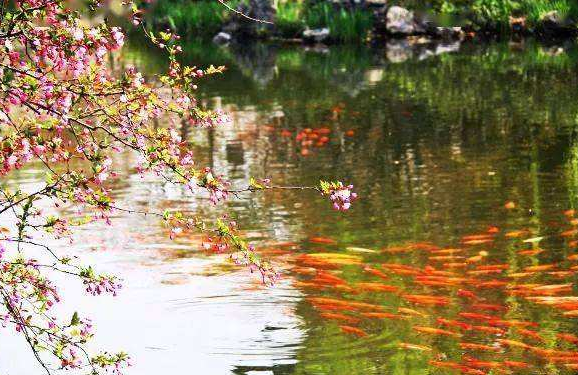 早春的古诗有哪些，描写早春的古诗词大全（满满的温暖和希望）