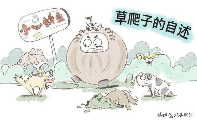 蜱虫有毒吗，蜱虫的危害（小时候拿来当“玩具”的蜱虫）