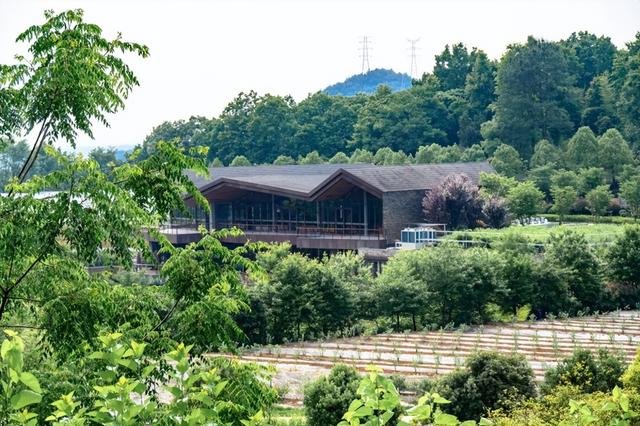 新昌最值得去的景点是哪里，邂逅夏日里的七个美好