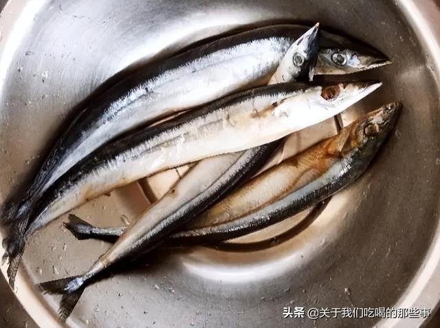 海鱼大集合，认识美味海鱼（这4种是野生海鱼）