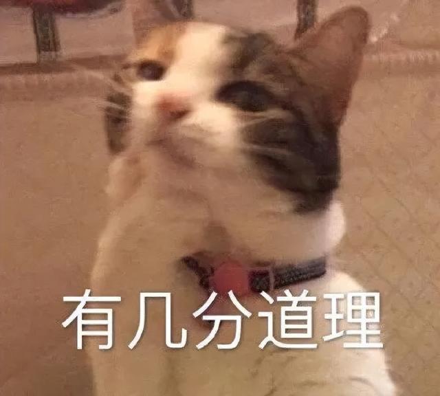 红米手机9周年回顾：初代即爆款