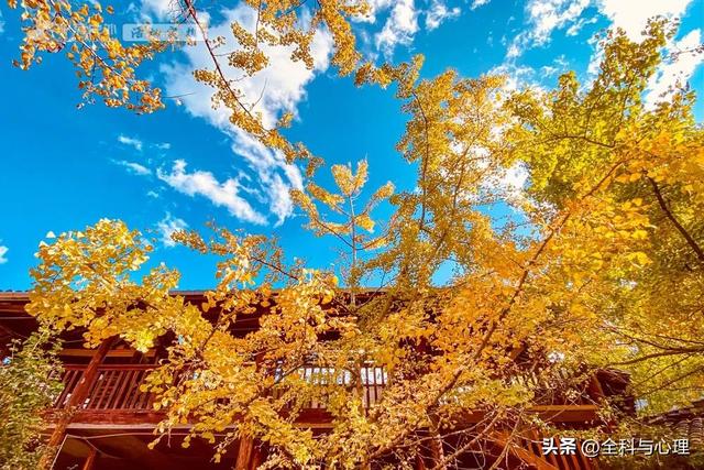 毕业旅行适合去的地方，我们去哪玩？国内适合毕业旅行的地方（全年最佳旅行地全在这儿）