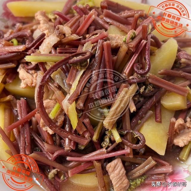 东北野生野菜有哪些，长白山中山野菜——猴子腿