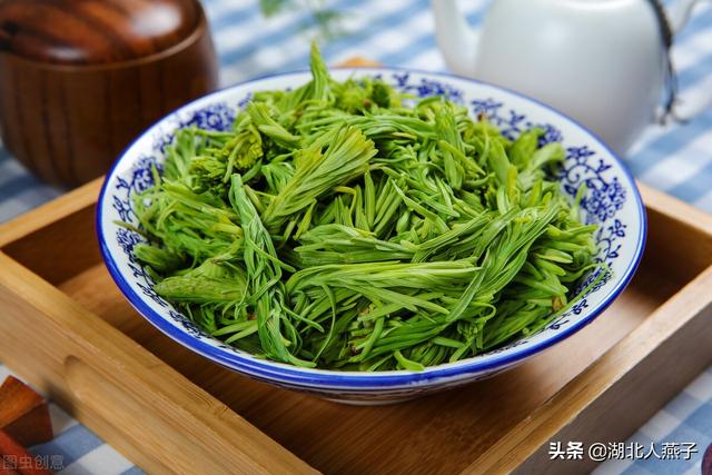 农村100种野菜图片，野菜的种类（常见的野菜图片与名字）