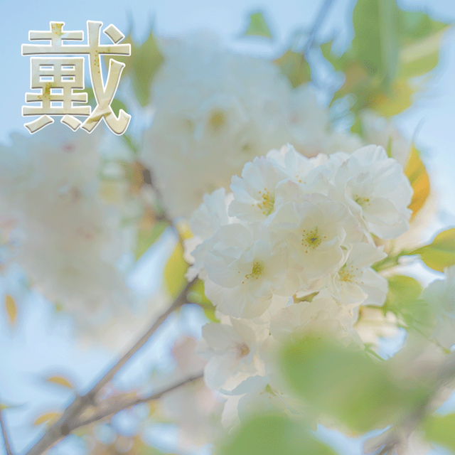 思考人生人生是你，微信头像，思考人生人生是你（成功的路上有门必修课叫孤独、积极思考造就积极人生）
