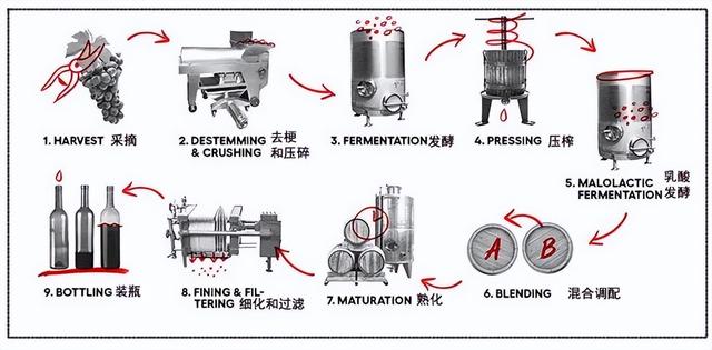 红葡萄酒的制作方法，葡萄酒的制作方法——红葡萄酒的制作方法（深度解答“新旧世界”葡萄酒的制作方法）