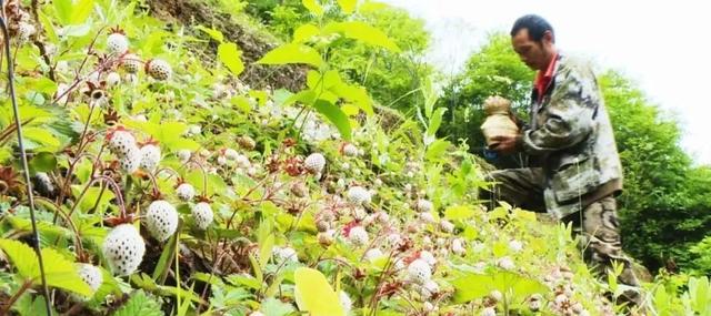 汉中旅游景点排名推荐，汉中旅游景点大全排名榜（在汉中一年四季可以这样玩 →）