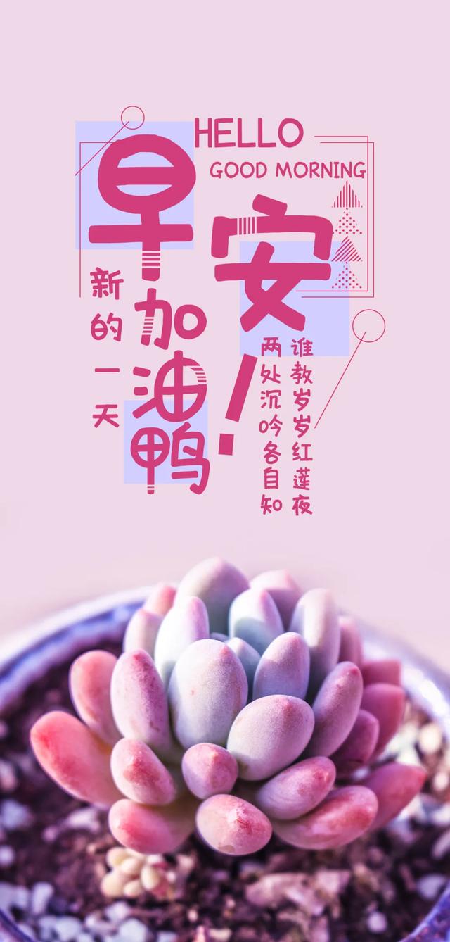 励志早安心语正能量，每天励志正能量早安语（正能量生活语录句子）