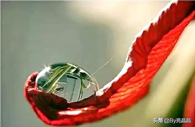 词语搭配什么的小水珠，什么的小水珠填上恰当的词语（晶莹剔透的小水珠）