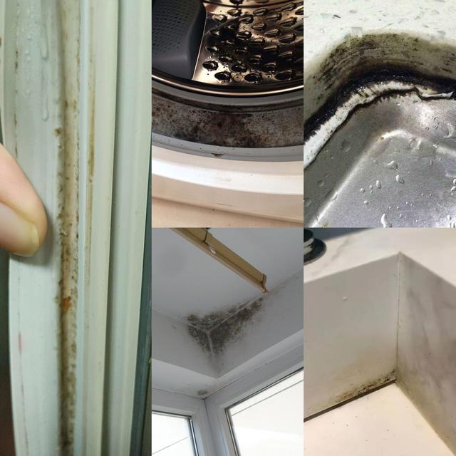 什么是地板清洁剂，地板清洁剂主要作用（我家那些19.9元包邮的清洁“神器”）