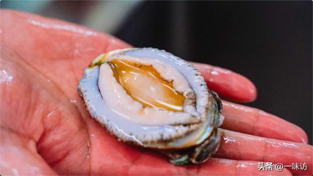 椰青怎么吃，椰子怎么吃?怎么打开?视频（香港超流行椰青炖鲍鱼汤做法）