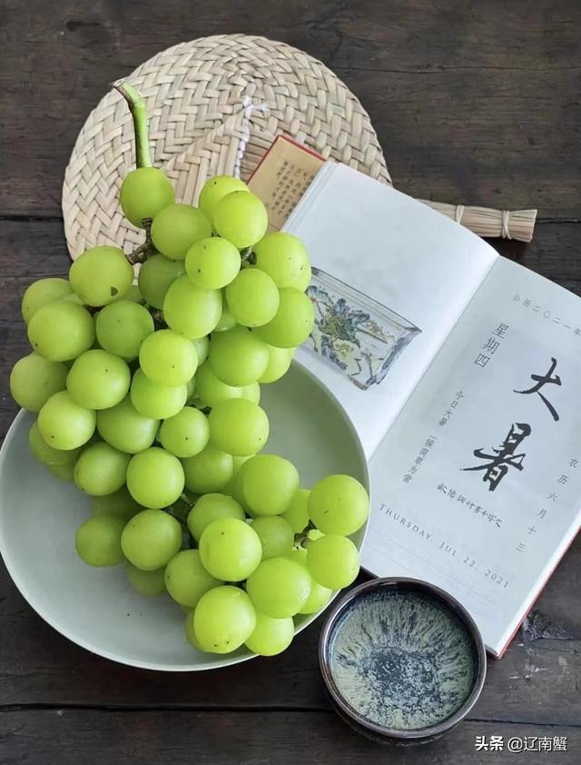 广州南沙有什么景点，广州南沙有什么景点值得去（6景必看9美食必吃）