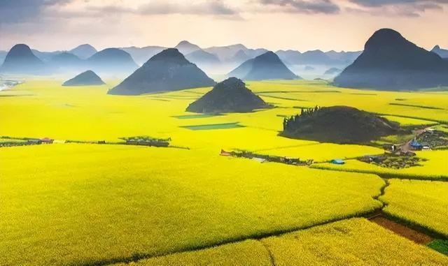 春天的景物有哪些，春天的景物（藏着中国最美的春光）