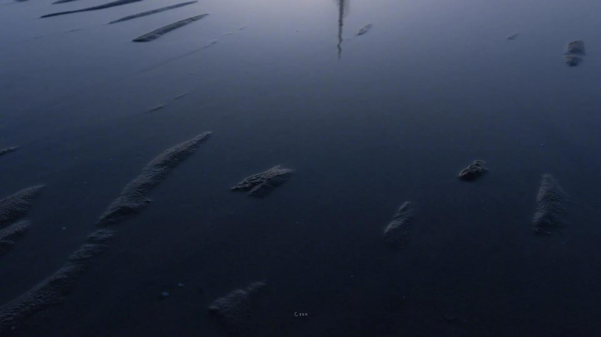 哪个星座会坚持爱一个人？