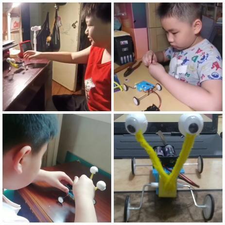 生活中的仿生学，仿生学的资料（这些神奇现象，你见过吗）