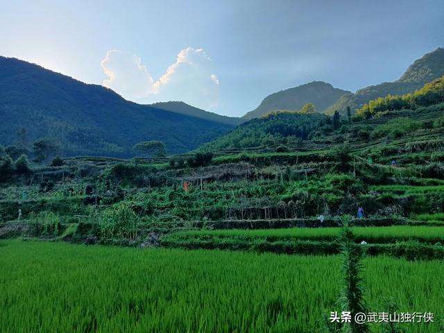历史是轮回，80、90年代鼓励进城打工，2022年后支持三农回乡创业