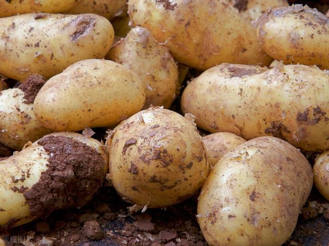 薯条的制作方法，自制薯条的方法（出锅比买的更好吃）