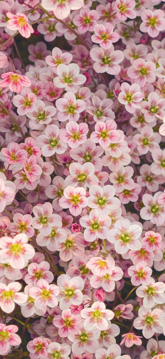 好看干净的背景图   夏天，好看干净的背景图书本天蓝色（夏日凉爽壁纸，更爱浅绿）