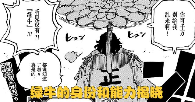来自船长的悬赏通缉令，海贼王之娜美与副船长（海贼王1053话）