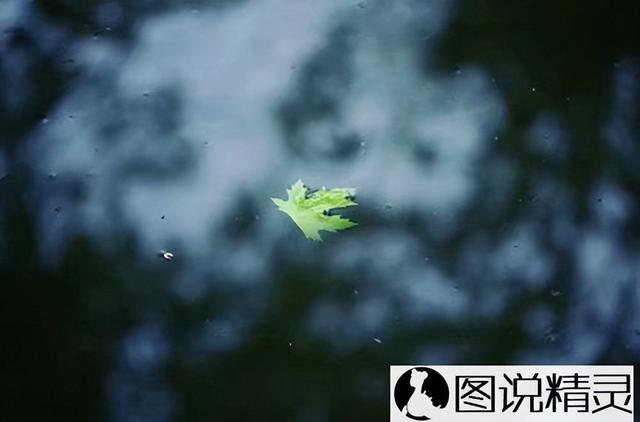 心痛伤感网名，心痛伤感网名男微信昵称（疼到骨子里心碎伤感地说说38句-图说精灵）