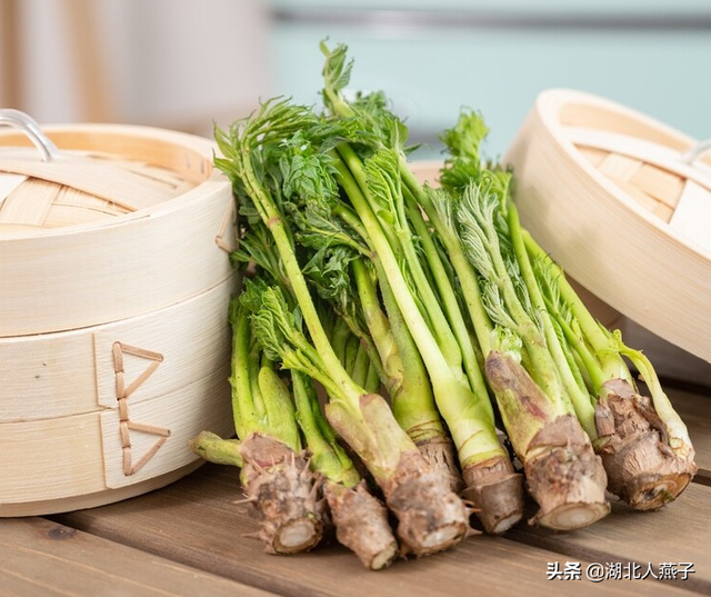 春天能吃的野菜大全，春天都有哪些野菜可以吃（送你63种野菜大图鉴）