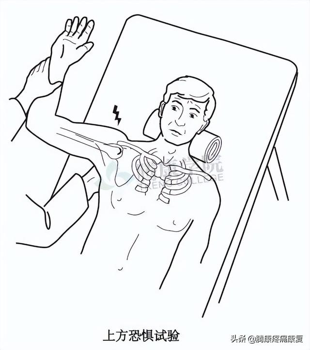 biceph，肩关节的特殊检查（bicep curl）