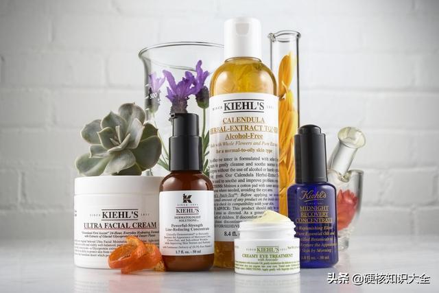 雅诗兰黛是哪个国家的品牌，雅诗兰黛、兰蔻分别源自哪个国家（2022年最新盘点全球20大化妆品品牌及背后故事）