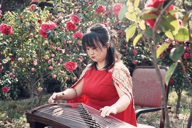 大理市春季赏花去哪里，大理开花季节（春之大理，与茶花“约会”）