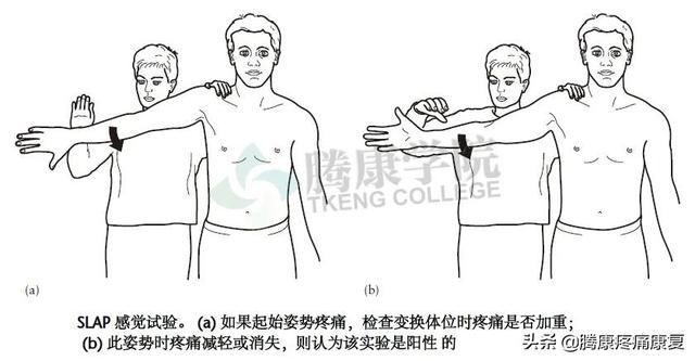 biceph，肩关节的特殊检查（bicep curl）