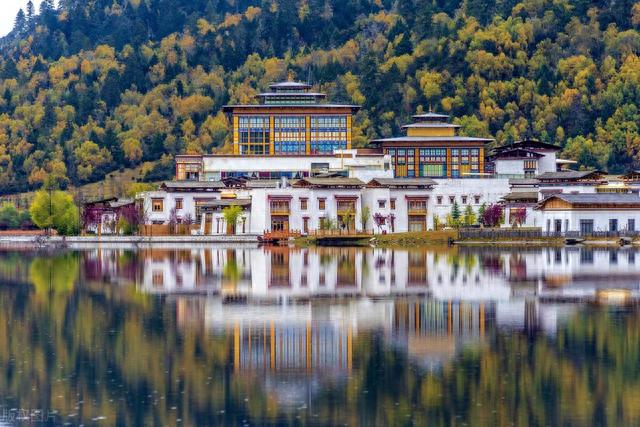 林芝自驾游必去景点推荐，鲁朗林海-花海牧场-柏树王园林-自驾游