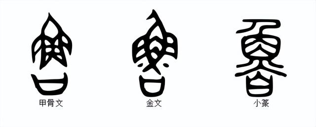 lǔ【字形演变】【本义】——粗鲁"鲁"字的甲骨文是"",是个很形象的字