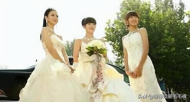 夏家三千金剧情简介，夏家三千金剧情分集介绍（这部剧毁三观的剧情让人想寄刀片给编剧）