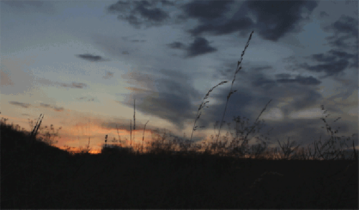 把原件给律师靠谱吗（（试行）